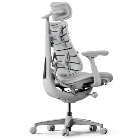 2 Office chairs LiberNovo Omni Dynamic ergonomic chair games gaming professional adjustable headrest footrest head rest foot rest lumber support ultimate lounge gaming relaxing massaging chair
