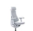 Light Grey 3 Office chairs LiberNovo Omni Dynamic ergonomic chair games gaming professional adjustable headrest footrest head rest foot rest lumber support ultimate lounge gaming relaxing massaging chair