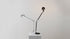 Artemide Tolomeo Table Lamp Light Lighting Lights Melbourne Australia Flos LED Lighting Work Study Office Home alloy aluminum Sydney Brisbane Office Furniture Genuine Authentic Designer Office desk chair ergonomic Herman Miller Vitra Wilkhahn